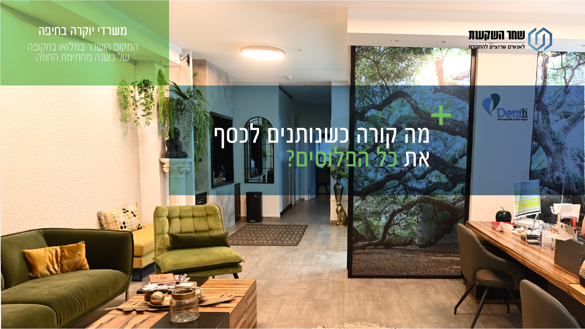 משרדי יוקרה בחיפה